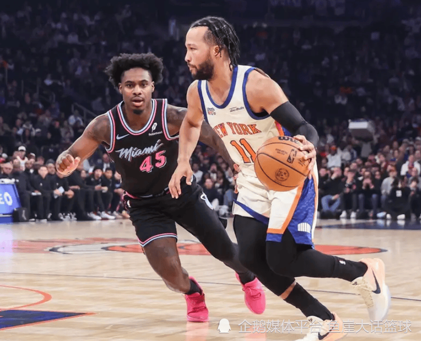 半岛体育全站-rookie多大